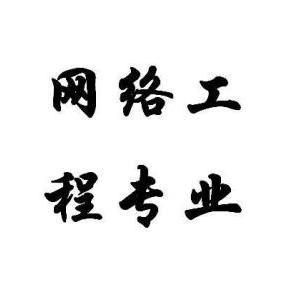 網(wǎng)絡(luò)工程 構(gòu)建數(shù)字世界的基石