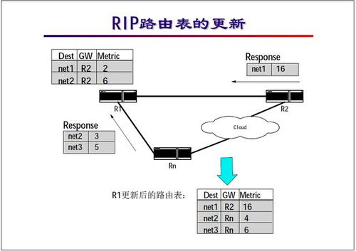 RIP協(xié)議基礎(chǔ)教程 理解周期性廣播與路由信息報(bào)文